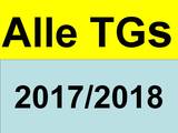 mypegasus weitblick Heidelberg alstom GE Goodyear gmt Mannheim Philipsburg